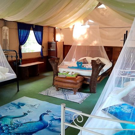 Fully Furnished Family Jungle Tent, Latino Glamping Paquera Eksteriør bilde