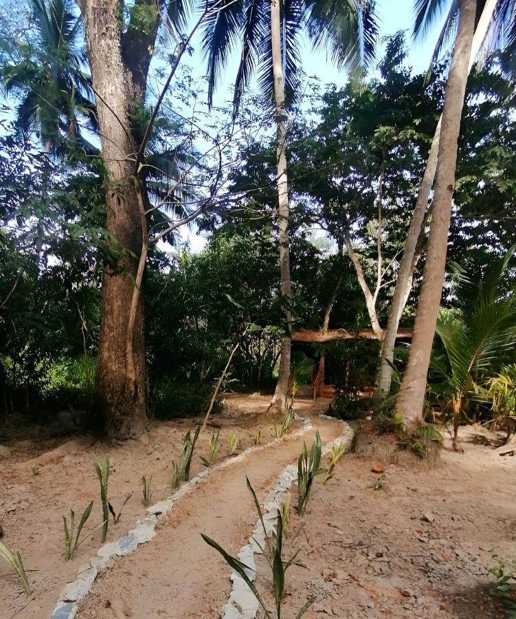Fully Furnished Family Jungle Tent, Latino Glamping Paquera Eksteriør bilde