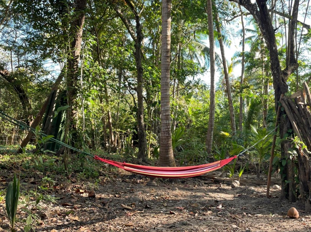Fully Furnished Family Jungle Tent, Latino Glamping Paquera Eksteriør bilde