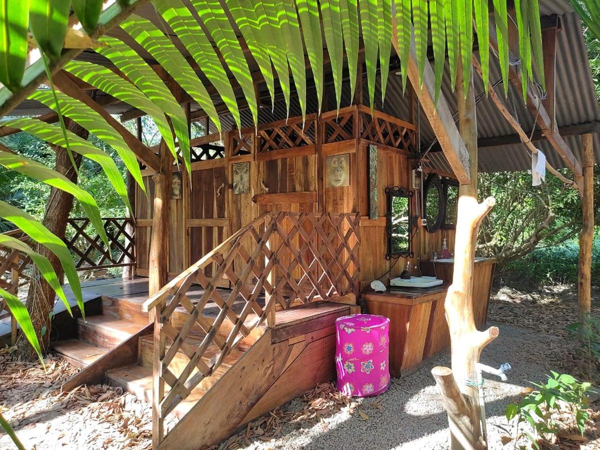 Fully Furnished Family Jungle Tent, Latino Glamping Paquera Eksteriør bilde