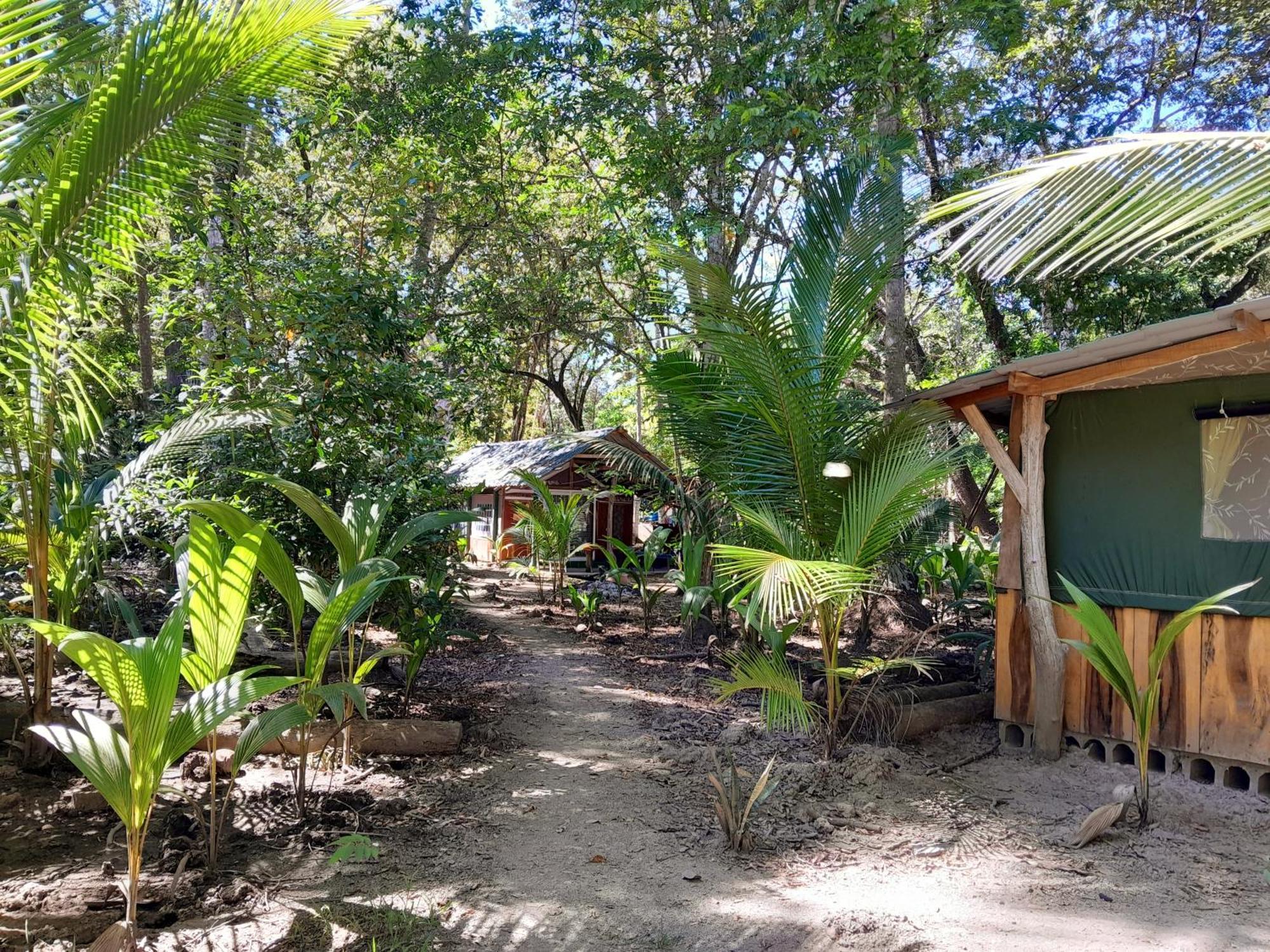 Fully Furnished Family Jungle Tent, Latino Glamping Paquera Eksteriør bilde