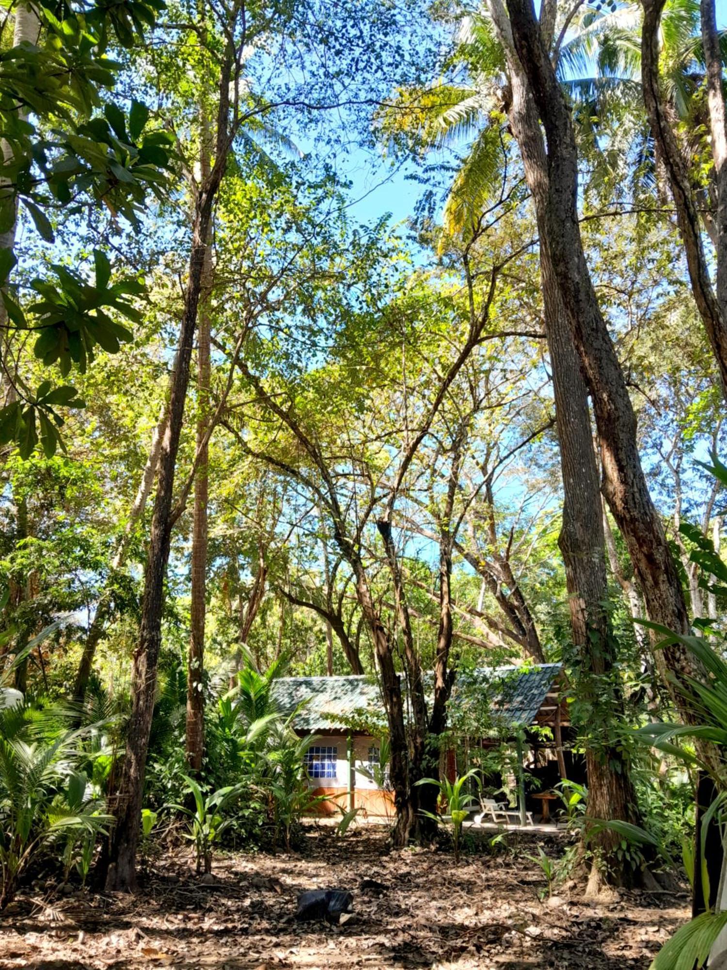 Fully Furnished Family Jungle Tent, Latino Glamping Paquera Eksteriør bilde