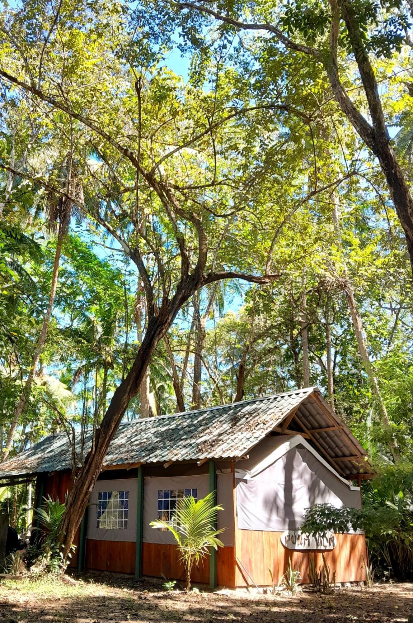 Fully Furnished Family Jungle Tent, Latino Glamping Paquera Eksteriør bilde