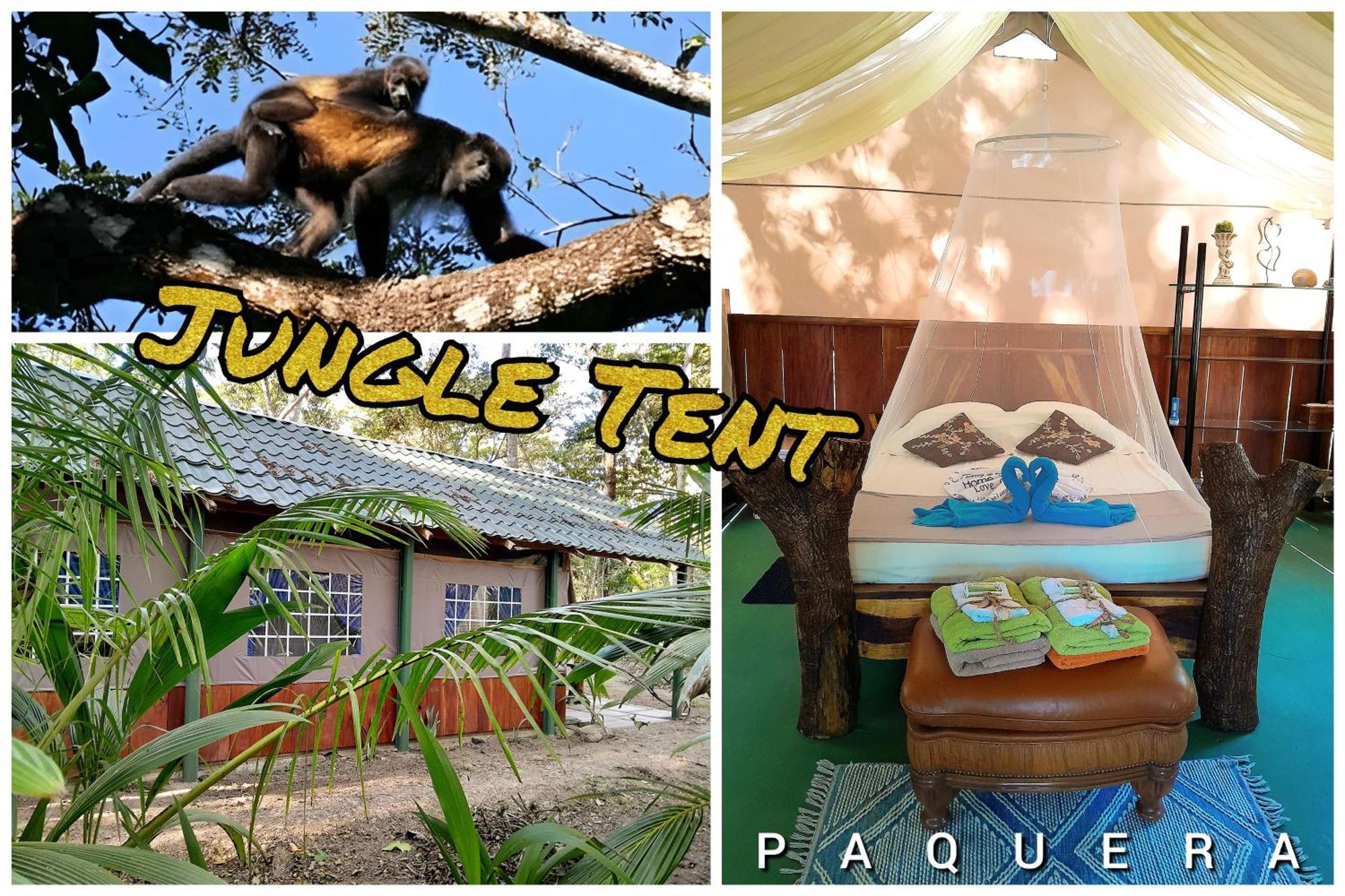 Fully Furnished Family Jungle Tent, Latino Glamping Paquera Eksteriør bilde
