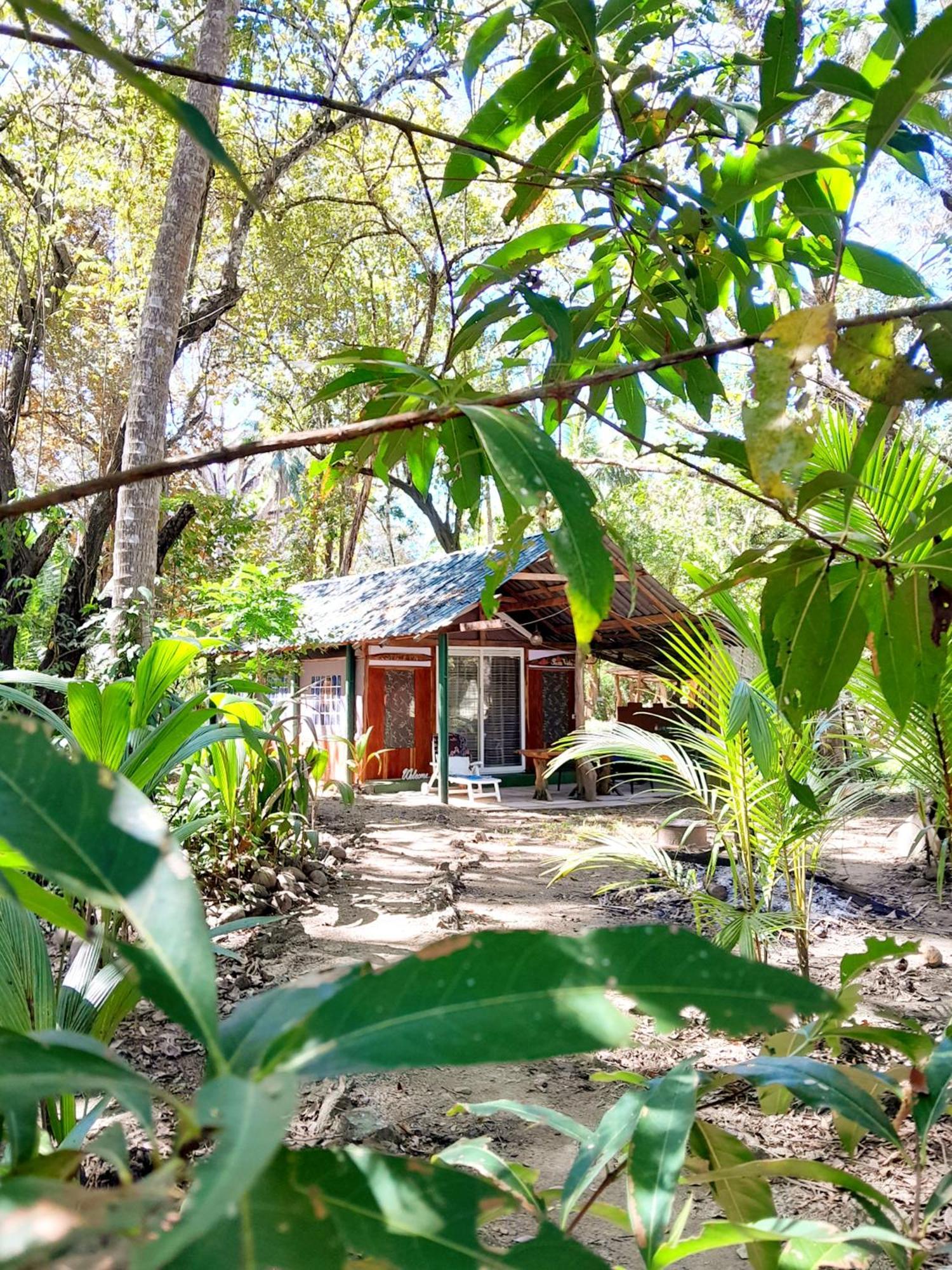 Fully Furnished Family Jungle Tent, Latino Glamping Paquera Eksteriør bilde
