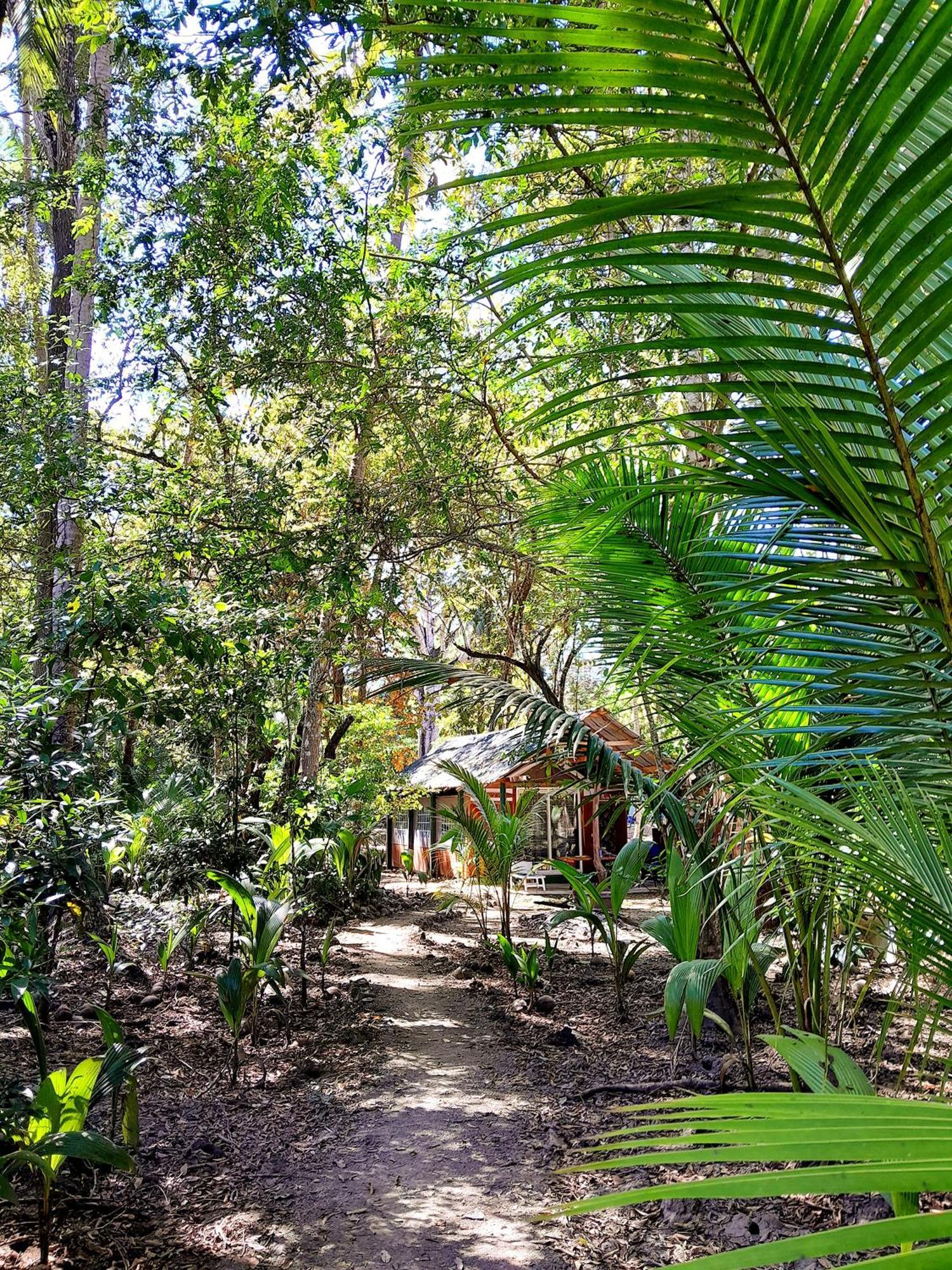 Fully Furnished Family Jungle Tent, Latino Glamping Paquera Eksteriør bilde
