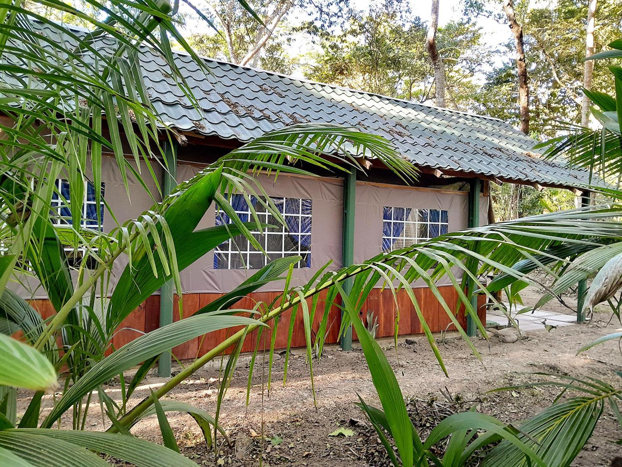 Fully Furnished Family Jungle Tent, Latino Glamping Paquera Eksteriør bilde