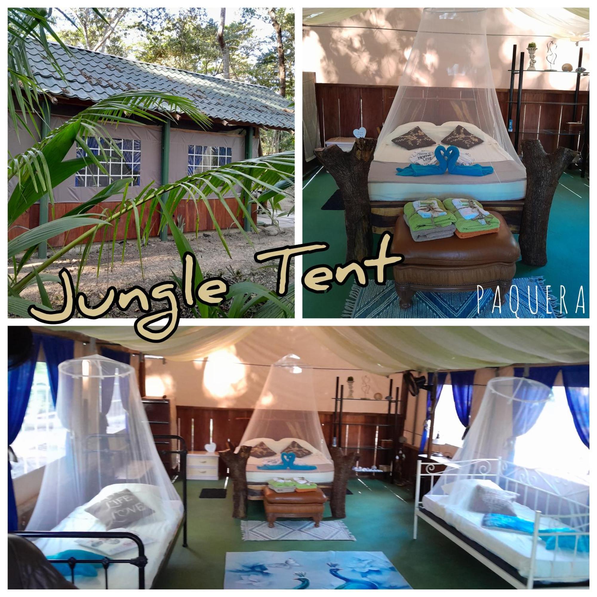 Fully Furnished Family Jungle Tent, Latino Glamping Paquera Eksteriør bilde
