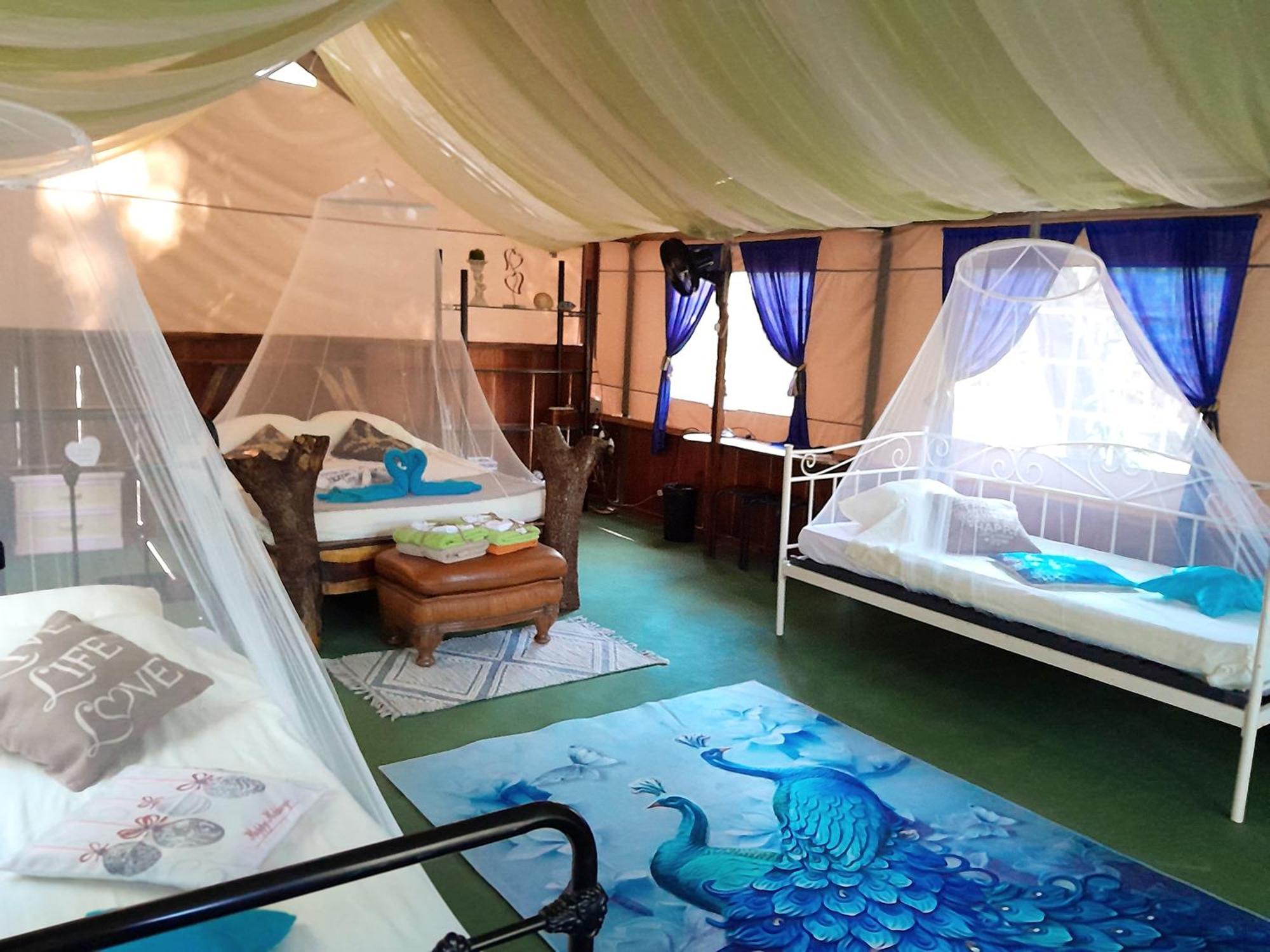 Fully Furnished Family Jungle Tent, Latino Glamping Paquera Eksteriør bilde