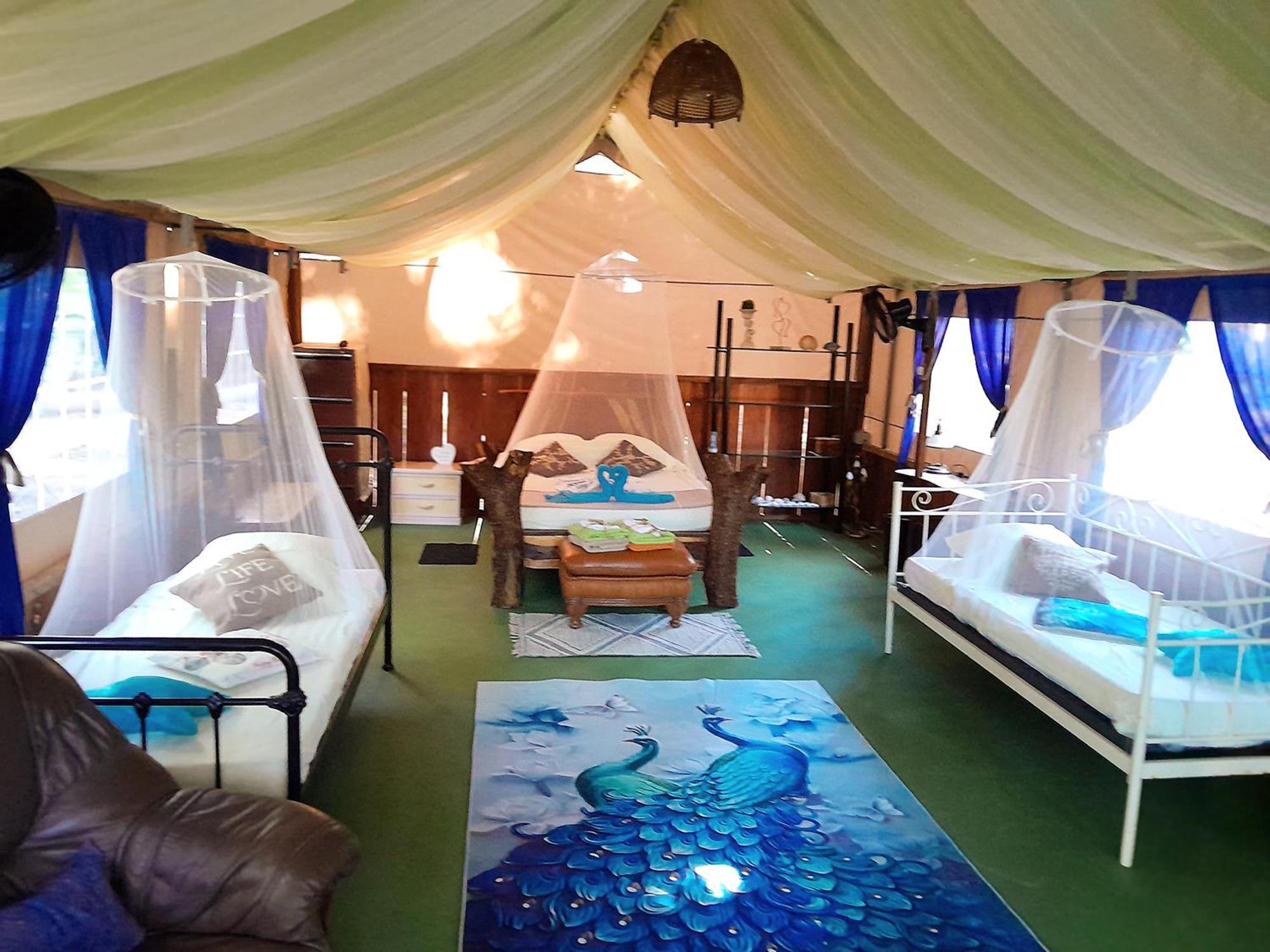 Fully Furnished Family Jungle Tent, Latino Glamping Paquera Eksteriør bilde