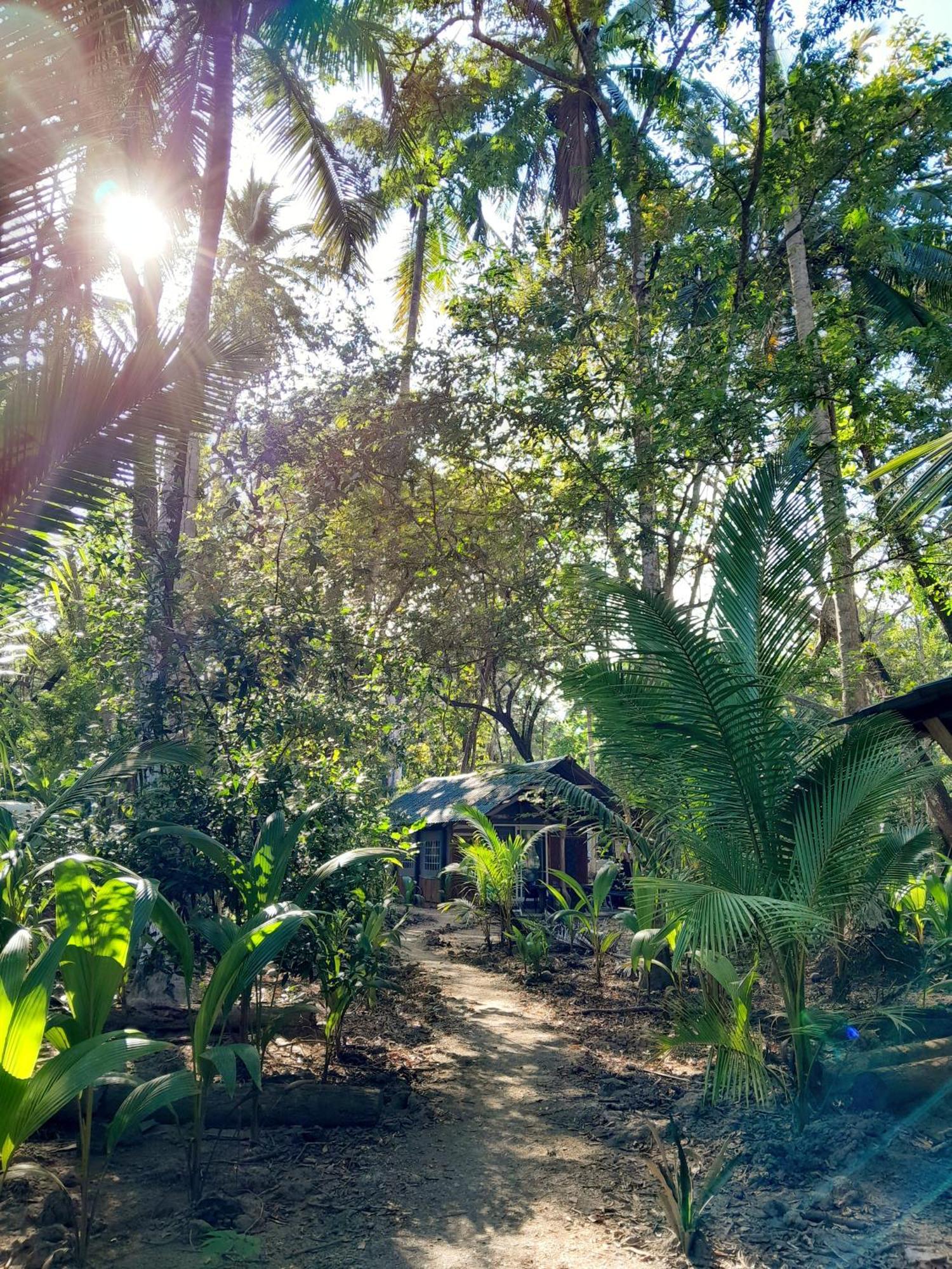 Fully Furnished Family Jungle Tent, Latino Glamping Paquera Eksteriør bilde